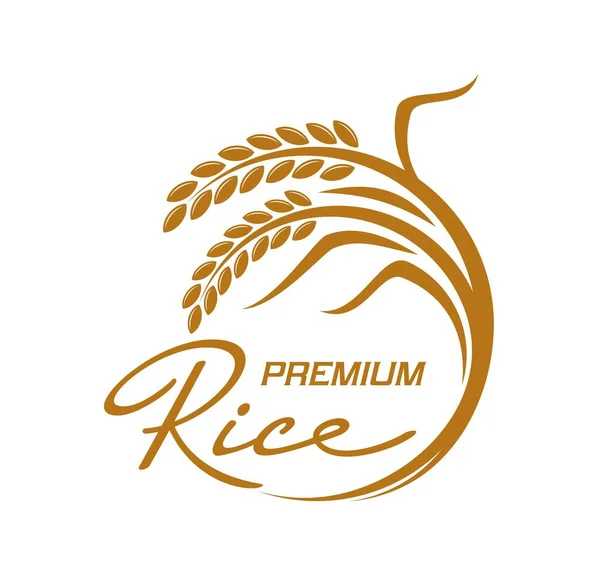 Ikona Rýžového Zemědělství Kvalitní Rýže Růst Zemědělství Společnost Kruh Symbol — Stockový vektor