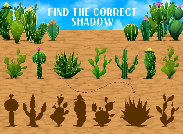 Find Correct Shadow Mexican Prickly Cactus Succulents Shadow Match Child — Stock Vector