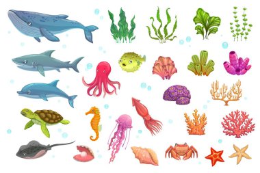 Cartoon underwater animals, seaweeds, fish and corals. Isolated vector whale, shark, dolphin and turtle, stingray, octopus, puffer and jelly fish. Sea horse, squid, crab and shell with ocean starfish