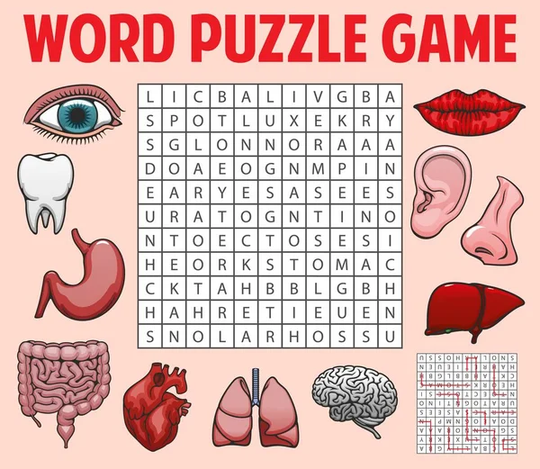 Human Organs Body Parts Word Search Puzzle Game Worksheet Quiz — Stock vektor