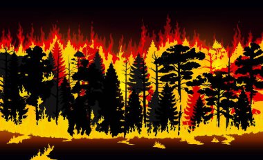 Orman yangını, yanan ağaçlar ve çimenler. Vektör orman yangını, yanan ağaçların, bitkilerin ve çalıların dumanlı bulutların ve alevlerin doğal afeti. Yangın arka planı, orman yangını doğa manzarası.