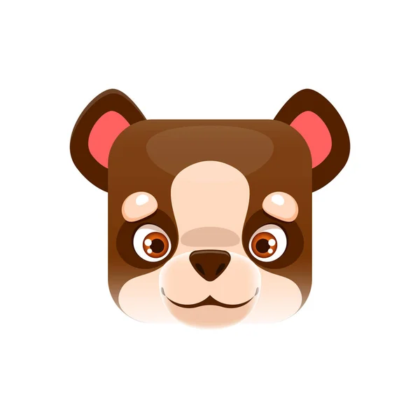 熊卡通卡瓦方头动物脸 有趣的泰迪熊或掠食者幼崽孤立的病媒人物肖像 Ui或Gui图形设计元素 动物园应用程序按钮 — 图库矢量图片