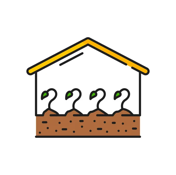 Croissance Des Plantes Serre Agriculture Agronomie Icône Ligne Couleur Pictogramme — Image vectorielle