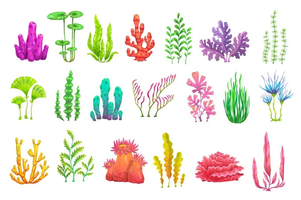 Cartoon Onderwater Zeewier Planten Aquarium Zeealgen Koraalrif Vector Fauna Natuur — Stockvector