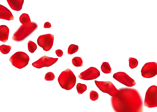 Літаючі Пелюстки Троянд Ізольовані Реалістичні Квіткові Потоки Векторний Шаблон Весільного — стоковий вектор