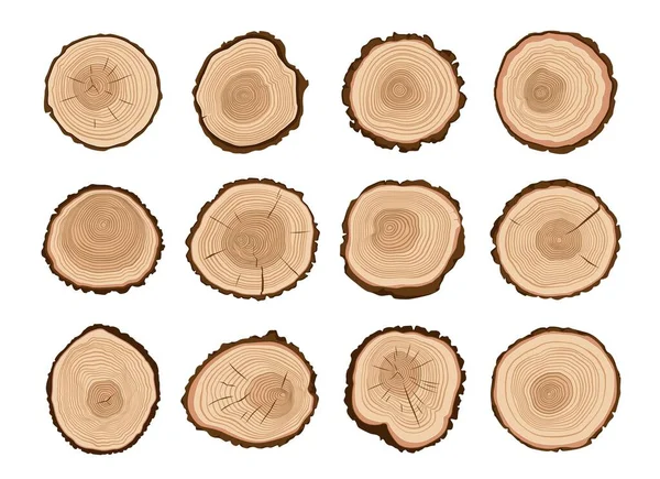 木头砍伐 林木树桩圆木截面图案 木柴木刻漫画病媒剖面设置或松树树干切片纹理 带有植物树龄环的孤立切割 — 图库矢量图片