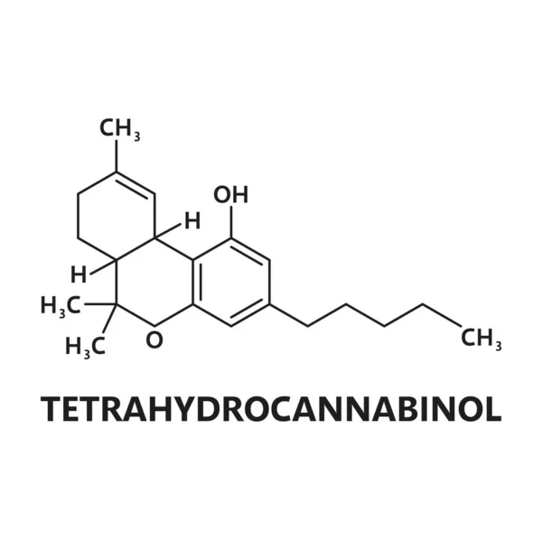 Molécula Cannabinoide Tetrahidrocannabinol Esquema Educación Sobre Moléculas Psicoactivas Cannabis Composición — Vector de stock