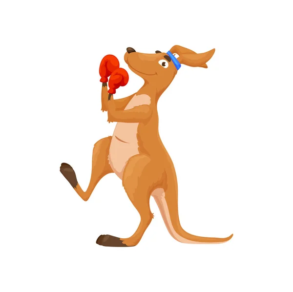 Cartoon Boxe Personaggio Canguro Isolato Divertente Vettore Australiano Animale Pugile — Vettoriale Stock