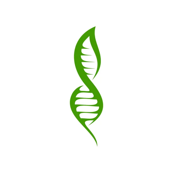 Φύλλο Dna Εικονίδιο Του Πράσινου Φυτού Στη Γενετική Έλικα Την — Διανυσματικό Αρχείο