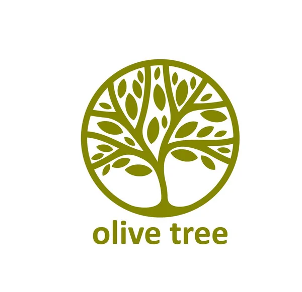 올리브 농업의 올리브유 나뭇가지와 실루엣 생태계 — 스톡 벡터