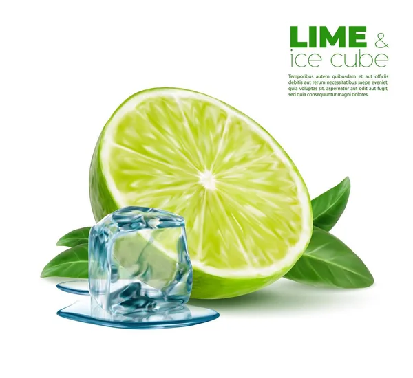 氷のキューブと緑のミントの葉 ベクトルモヒートカクテルドリンク アイスティーやレモネード飲料成分と現実的な石灰 ライム柑橘類 新鮮なミントと冷凍水の結晶の3Dスライス — ストックベクタ