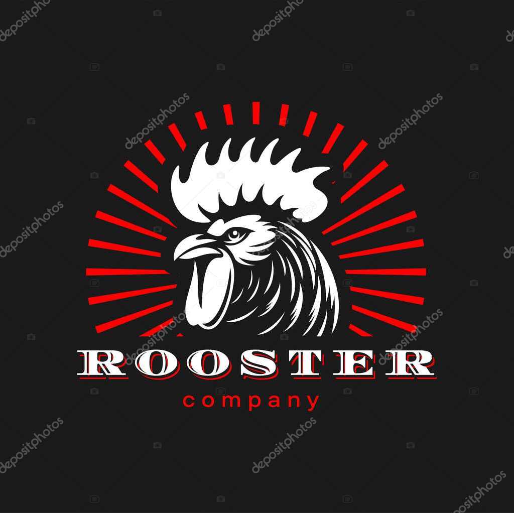 Agriculture and farm rooster mascot. Vector icon of cock or cockerel animal head, white feathers, comb and beak with red sun rays. Brave rooster symbol of poultry farm, chicken meat and egg food label