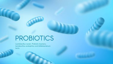 Probiotic bacteria, Lactobacillus Acidophilus and Bifidobacterium. Human microbiome, brobiotics for immune system health realistic vector background or banner with bifidus bacteria, microorganism cell clipart