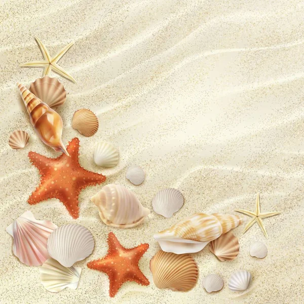 Отличный Вид Пляж Морские Ракушки Морская Звезда Песке Векторный Летний — стоковый вектор