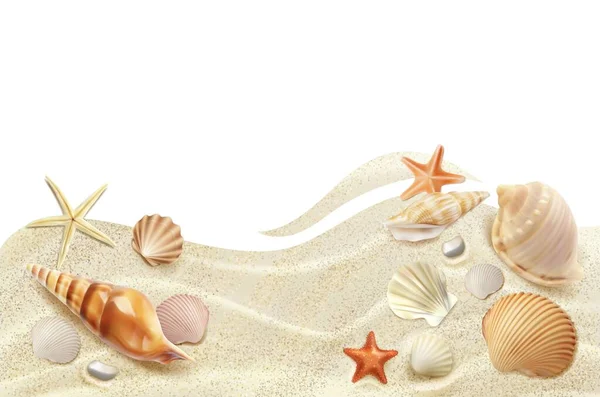 현실적 해변의 여름의 모래에는 고립된 조개와 불가사리가 있습니다 바다는 모래로 — 스톡 벡터