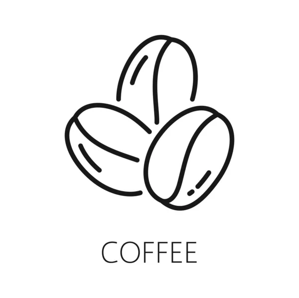 コーヒー豆分離アメリカーノドリンク成分アウトラインアイコン ベクトルコーヒーベリーの種 芳香族アラビカローストビーン コーヒー工場の生の果実 — ストックベクタ