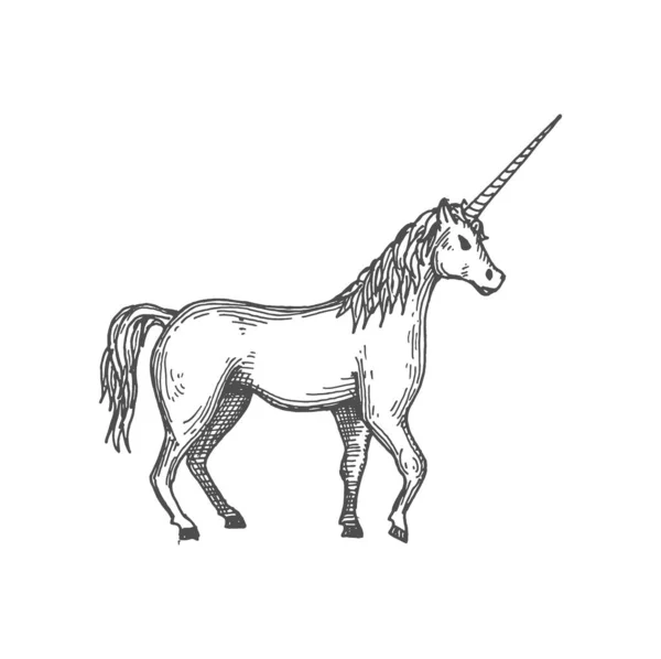 Jednorožčí Pohádka Zvíře Izolované Náčrtek Ikona Vektorový Mýtický Pegasus Kůň — Stockový vektor