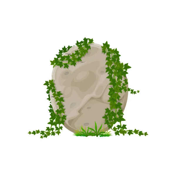 熱帯のつる ユーザーインターフェイス要素と岩のフレーム上の緑の熱帯の葉 ゲーム岩ジャングルパネル ツタの葉とジャングルの石の看板 — ストックベクタ