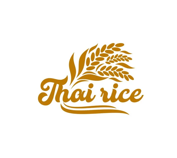 泰国米图标 亚洲有机食品和泰国烹饪病媒包装符号 优质稻穗和稻杆标志的天然谷物 用于泰国大米标签 亚洲产品商店或食品包装 — 图库矢量图片