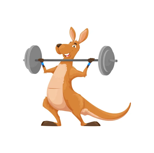 バーベル付きの漫画カンガルー文字 独立した面白いベクトルオーストラリアの動物のスポーツマン 競争のための重量の準備で練習して笑顔のワラルーのパーソナージュウェア コミックスポーツウォラビーマスコット — ストックベクタ
