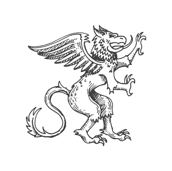 Boceto Heráldico Medieval Grifo Grifo Grifo Leyenda Criatura Fantasía Mitología — Vector de stock