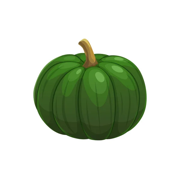 Cartoon Raw Pumpkin Vegetable Farm Veggie Harvest Vector Plant Icon — Stock Vector