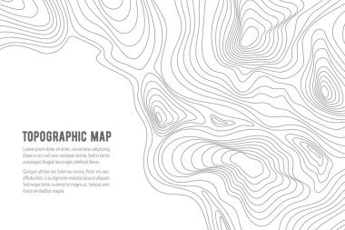 Topografik harita. Şebeke, doku, kabartma hatları. Deniz navigasyon arkaplanı, okyanus ya da kara toprak topoğrafi vektör grafik arkaplan ya da kartografi topoğrafik desen duvar kağıdı
