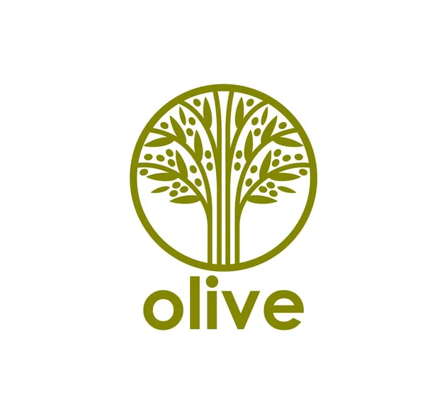 Symbol Drzewa Oliwnego Etykieta Oliwy Oliwek Żywności Ekologicznej Lub Kuchni — Wektor stockowy