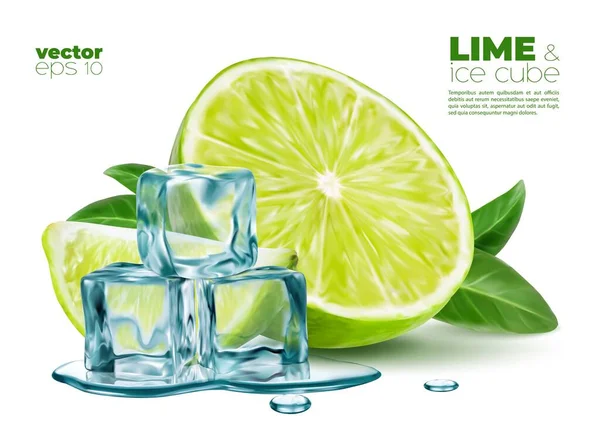 Realistic Lime Fruit Melting Ice Cubes Fresh Leaves Mint Green — Stock Vector