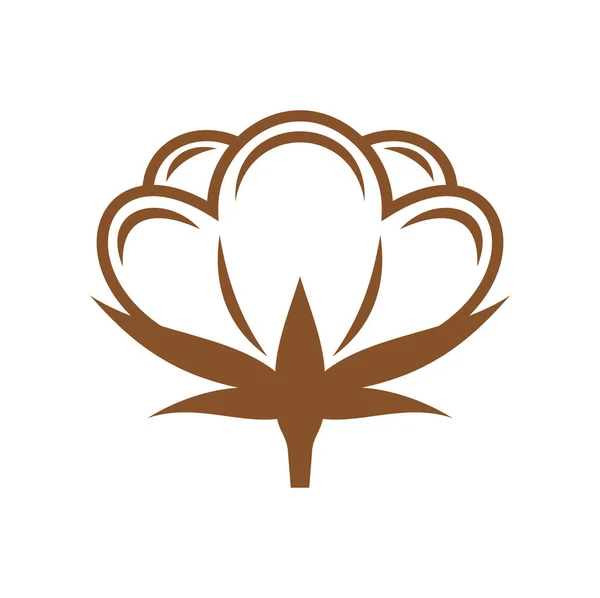 有向量花和有机软纤维柱状花序的棉花植物图标 农作物植物 服装业标志或徽章褐色花朵的天然织物和纯棉纺织品分离标志 — 图库矢量图片