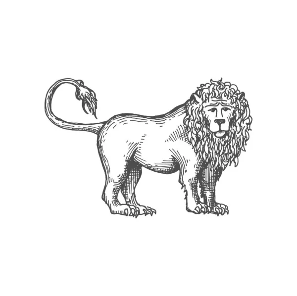 Royal Heraldic Lion Sketch Icon Vector King Animals Symbol Courage — Stock Vector
