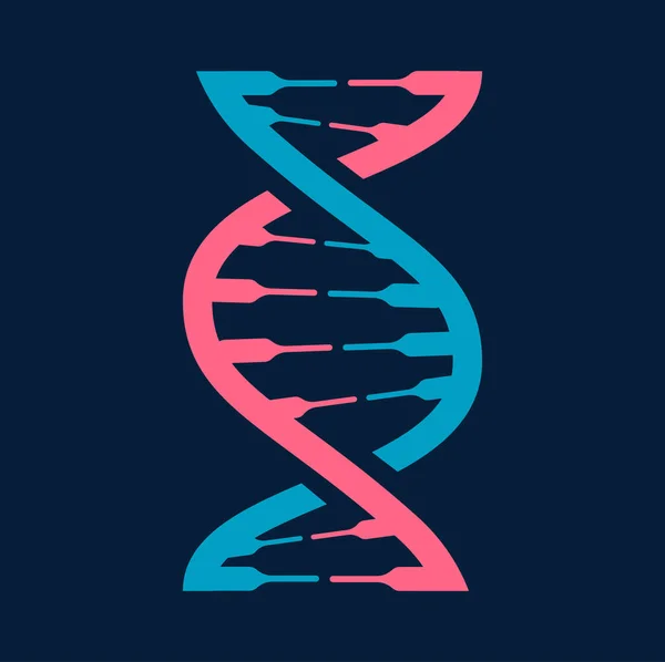 Dna分子图标 扭曲的染色体 粉红色和蓝色的分子螺旋 病媒微生物学和生物化学线框 进化的象征 — 图库矢量图片
