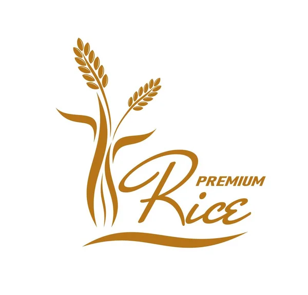 水稻收获图标 谷物生长农业公司标志 优质米店或商店标志或图标 天然食品农产品市场标志 谷类和树叶标志 — 图库矢量图片