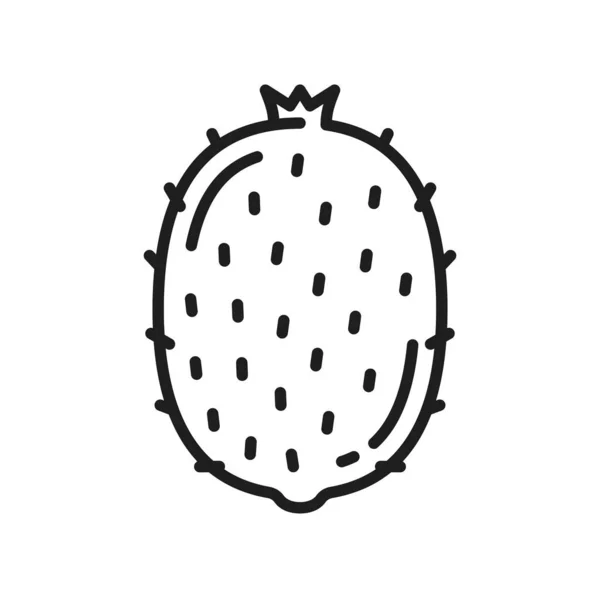 Kiwi Früchte Superfood Diätprodukt Dünne Linie Symbol Vector Chinesische Stachelbeere — Stockvektor