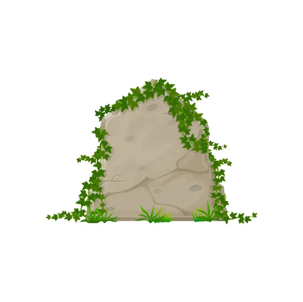 Placa Pedra Com Folhas Hera Desenho Animado Escalando Hedera Painel —  Vetores de Stock