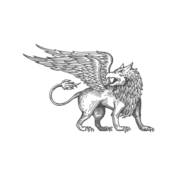 ワシの頭 ライオンの体とワシの翼の孤立スケッチアイコンとグリフィン神話の生き物 ベクトル神話の動物 アンティークグリフィン古代の鳥 — ストックベクタ
