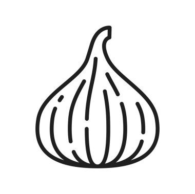 İncirli meyveli egzotik yiyecek çizgisi ikonu. Vector olgun yaz kümesi ya da çınar ağacı inciri, tatlı çerez, fius carica sağlıklı meyve, vejetaryen besin