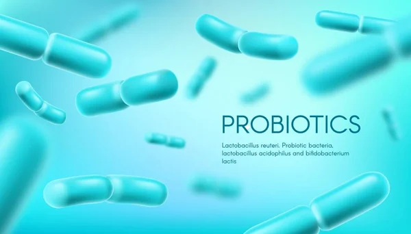 Bacterias Probióticas Lactobacillus Acidophilus Bifidobacterias Fondo Vectorial Prebióticos Bacterias Probióticas — Archivo Imágenes Vectoriales