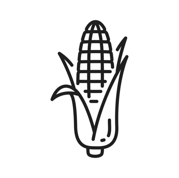 Maïskolf Geïsoleerde Maïs Met Bladeren Lijn Pictogram Vectorlandbouw Akkerbouw Natuurlijk — Stockvector