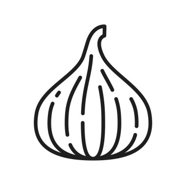 İncirli meyveli egzotik yiyecek çizgisi ikonu. Vector olgun yaz kümesi ya da çınar ağacı inciri, tatlı çerez, fius carica sağlıklı meyve, vejetaryen besin