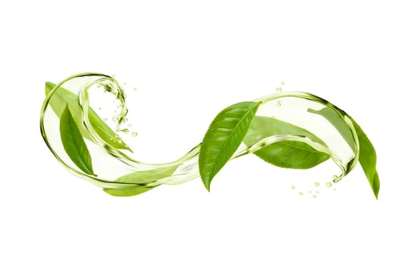ハーブティーは緑の葉と水の流れと波のスプラッシュを飲む 新鮮なミントやメンソール植物と冷たい緑茶や抹茶飲料のベクトル現実的な液体渦 落下滴 泡やスプラッター — ストックベクタ