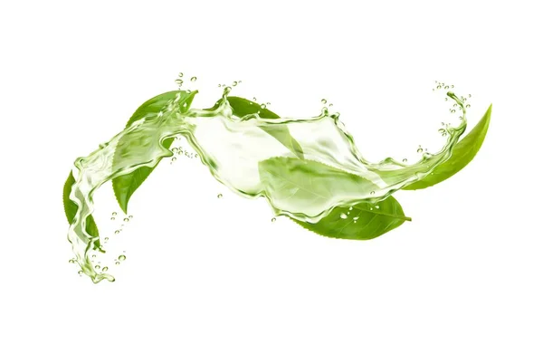 Gyógynövény Ital Hullám Fröccsenés Zöld Tea Levelek Áramlik Vízcseppek Vektor — Stock Vector