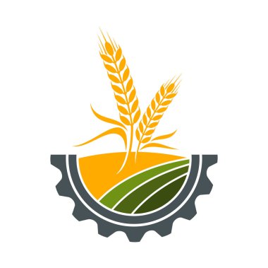 Tarım ikonu, buğday tarlası veya çiftlik çavdar kulağı ve mısır gevreği başakları, vektör sembolü. Çiftlik evi arpası ve darı, tarım arazisi tarım ve tarım endüstrisi vites çemberinde buğdayla işaretli.