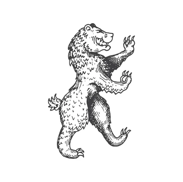Urso Medieval Heráldico Animal Esboço Animal Selvagem Monstro Lenda Rampart — Vetor de Stock