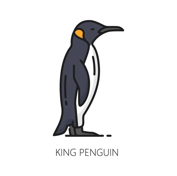 王または皇帝ペンギン隔離されたカラーラインアイコン 南アメリカのベクトル大規模な飛行無し海鳥 キングペンギン動物 大西洋ジェンツークリーチャー — ストックベクタ