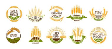 Buğday kulağı ikonları, çavdar, arpa ya da pirinç darı, vektör organik ürün etiketleri. Buğday taneleri kaliteli ekmek, un ve fırın, organik buğday ürünleri.