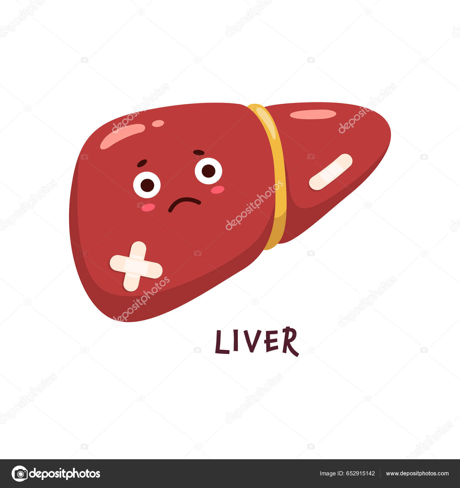 Doente Fígado Corpo Órgão Personagem Ferido Não Saudável Personagem Desenho  Vetor de ©VectorTradition 652915142, image size:1600x1697