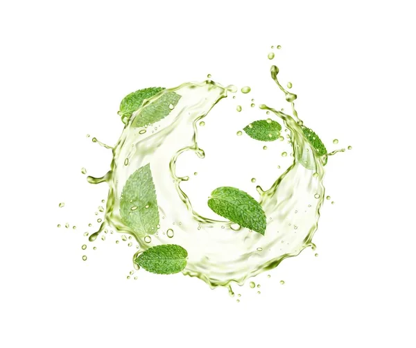 Green Herbal Tea Splash Drops Mint Leaves Vector Fresh Drink — Stock Vector