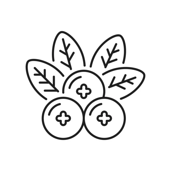 Шведская Травяная Медицина Эмблема Швецией Крест Знак Изолированный Контур Значок — стоковый вектор
