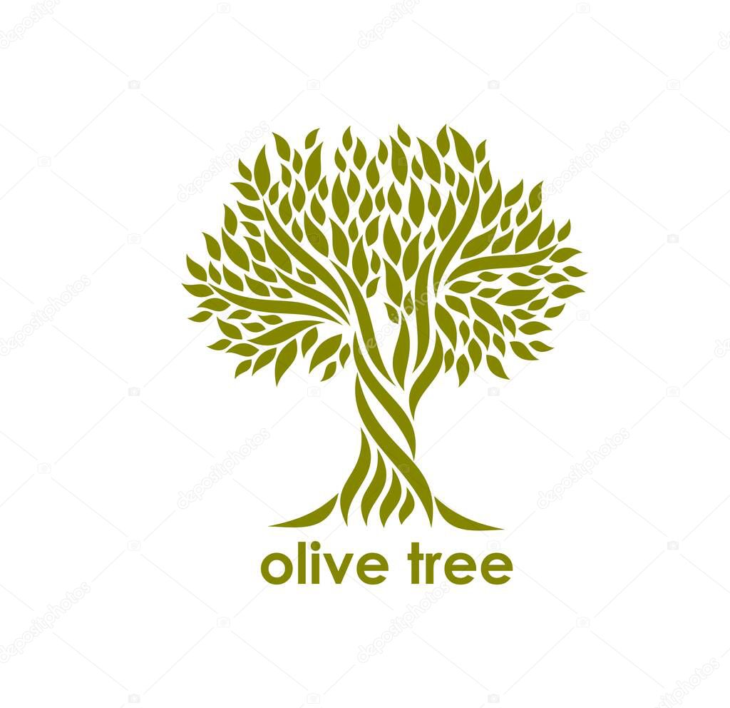 Olive tree symbol or icon. Organic vegetarian product, mediterranean food and farm garden vector symbol. Agriculture company, olive oil production icon or emblem with old twisted tree